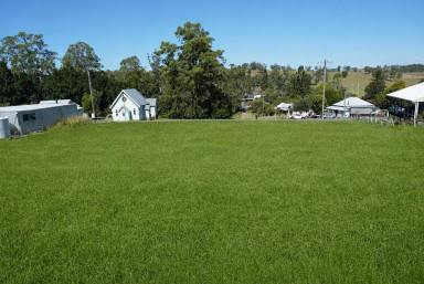 Residential Block For Sale - NSW - Mallanganee - 2469 - JUST UNDER 1 ACRE OF LAND, GREAT VIEWS, GREAT VILLAGE  (Image 2)