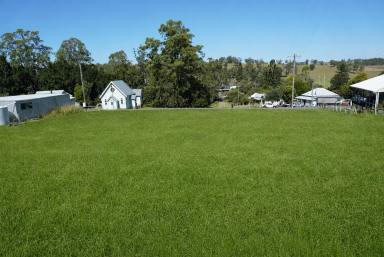 Residential Block For Sale - NSW - Mallanganee - 2469 - CHURCH BELLS ON THE HILL  (Image 2)