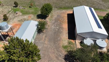 House For Sale - NSW - Narrabri - 2390 - LIFESTYLE, SPACE & SHEDS - THE COMPLETE PACKAGE  (Image 2)