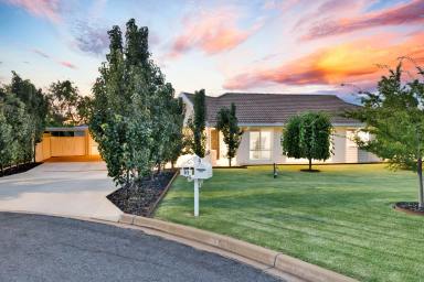 House For Sale - VIC - Mildura - 3500 - Impeccably Renovated Family Luxury with Pool and Retreat (Image 2)
