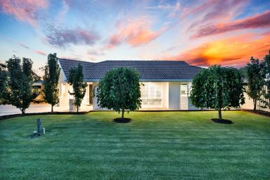 House For Sale - VIC - Mildura - 3500 - Impeccably Renovated Family Luxury with Pool and Retreat  (Image 2)
