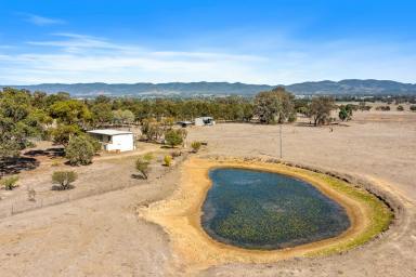 Lifestyle Auction - NSW - Mudgee - 2850 - OUTSTANDING LIFESTYLE OPPORTUNITY IN A PRESTIGIOUS SETTING  (Image 2)