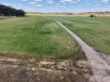 Mixed Farming For Sale - WA - Dale - 6304 - 560 Acres in the Dale                                      227ha (560 acres)  (Image 2)