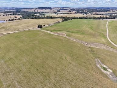 Mixed Farming For Sale - WA - Dale - 6304 - 560 Acres in the Dale                                      227ha (560 acres)  (Image 2)