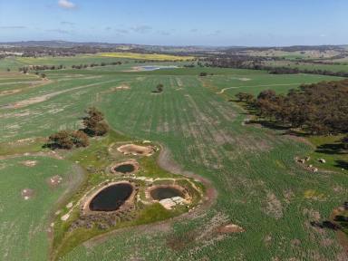 Mixed Farming For Sale - WA - Dale - 6304 - 560 Acres in the Dale                                      227ha (560 acres)  (Image 2)