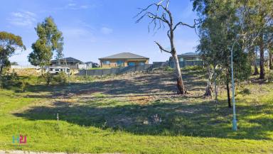 Residential Block For Sale - NSW - Lithgow - 2790 - Bigger Than Most. Better Than Many. 902sqm of Pure Opportunity  (Image 2)