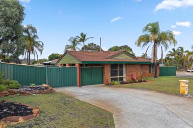 House For Sale - WA - Alexander Heights - 6064 - 724sqm Corner Block Gem with Space to Spare!  (Image 2)