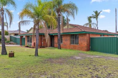 House For Sale - WA - Alexander Heights - 6064 - 724sqm Corner Block Gem with Space to Spare!  (Image 2)