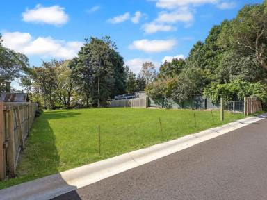 Residential Block For Sale - NSW - Mittagong - 2575 - Rare Development Opportunity in Mittagong  (Image 2)