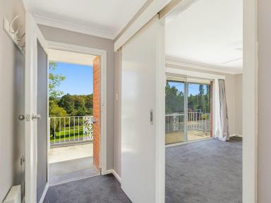 House For Sale - NSW - Bega - 2550 - WALK TO TOWN  (Image 2)