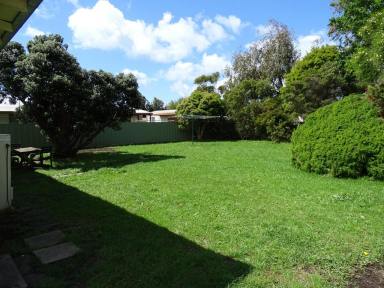 House For Lease - VIC - Apollo Bay - 3233 - Neat home, central location  (Image 2)