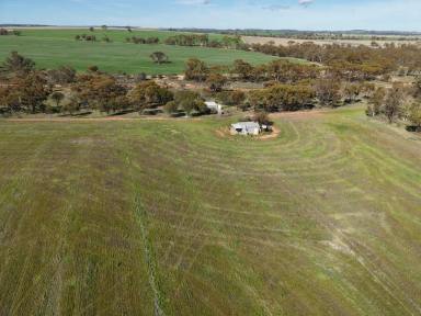 Mixed Farming For Sale - WA - Beverley - 6304 - Your Country Escape Awaits    41.65ha  (Image 2)