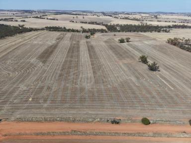 Other (Rural) For Sale - WA - East Beverley - 6304 - Your Country Escape Awaits  (Image 2)