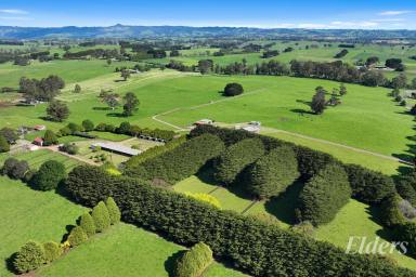 Mixed Farming For Sale - VIC - Warragul - 3820 - Two Titles - 92 Acres with Extensive Equine Facilities  (Image 2)