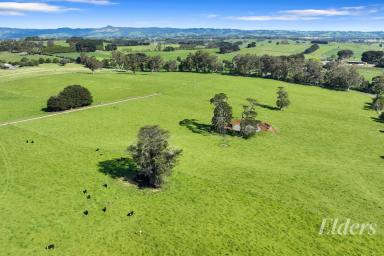 Mixed Farming For Sale - VIC - Warragul - 3820 - 2 Titles, 2 Road Frontages - 72 Prime Acres in Blue Chip Location  (Image 2)