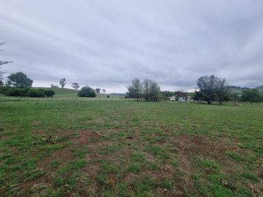 Residential Block For Sale - NSW - Coolac - 2727 - Vacant land in the village of Coolac  (Image 2)