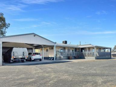 House For Sale - NSW - Young - 2594 - Views, Privacy & Perfection  (Image 2)