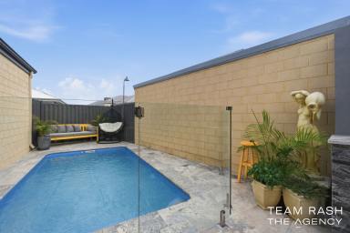 House For Sale - WA - Eglinton - 6034 - FAMILY LIVING WITH A SPARKLING POOL!  (Image 2)