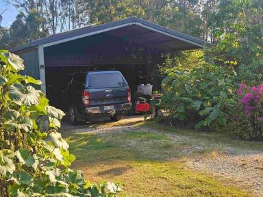 Residential Block For Sale - QLD - Glenwood - 4570 - SLICE OF PARADISE  (Image 2)