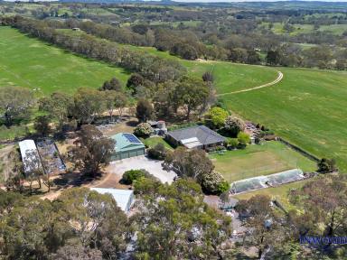 Lifestyle For Sale - SA - Mount Pleasant - 5235 - Immaculate productive country property. Turn-key country residence. Views to the horizon, excellent shedding, tennis court and so much more.  (Image 2)