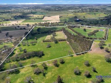 Lifestyle For Sale - SA - Mount Pleasant - 5235 - Immaculate productive country property. Turn-key country residence. Views to the horizon, excellent shedding, tennis court and so much more.  (Image 2)