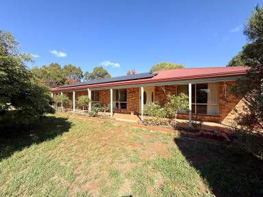 Lifestyle For Sale - NSW - Young - 2594 - "Breathaway" The perfect blend of productivity and lifestyle.  (Image 2)