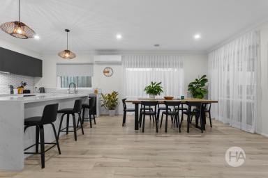 House For Sale - VIC - Somerville - 3912 - Courtside Contemporary Appeal  (Image 2)