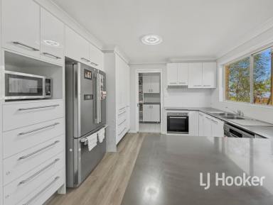 House For Sale - NSW - Inverell - 2360 - Brick & Tile Home in Popular Street  (Image 2)