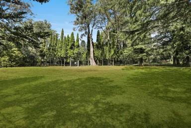 Residential Block For Sale - NSW - Mittagong - 2575 - Premium 1 Acre Parcel Positioned on Mount Gibraltar  (Image 2)