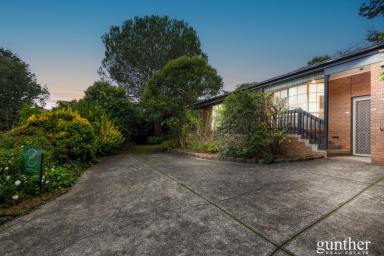 House For Sale - VIC - Healesville - 3777 - Versatile Home & Office Opportunity in Prime Healesville Location  (Image 2)