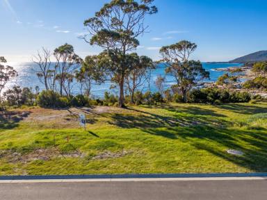 Residential Block For Sale - TAS - Bicheno - 7215 - Land - Location & Lifestyle  (Image 2)