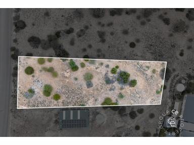 Residential Block For Sale - SA - Younghusband - 5238 - Amazing River Views  (Image 2)