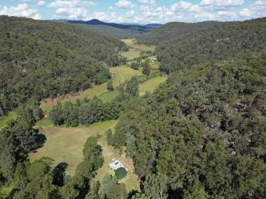 Lifestyle For Sale - NSW - Wollombi - 2325 - 'Coolamin'  (Image 2)
