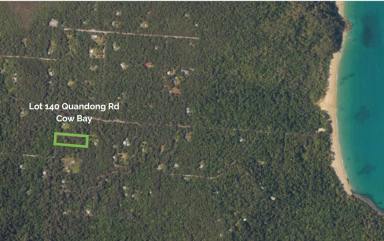 Residential Block Sold - QLD - Daintree - 4873 - 1HECTARE RAINFOREST BLOCK IN THE DAINTREE  (Image 2)