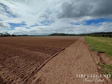 Horticulture For Sale - QLD - Mareeba - 4880 - Once in a Lifetime Acreage – Creek, Orchard & Scale in Mareeba  (Image 2)