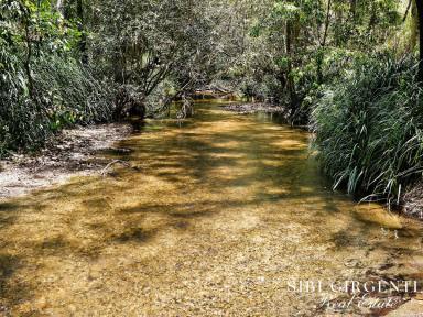 Horticulture For Sale - QLD - Mareeba - 4880 - Once in a Lifetime Acreage – Creek, Orchard & Scale in Mareeba  (Image 2)