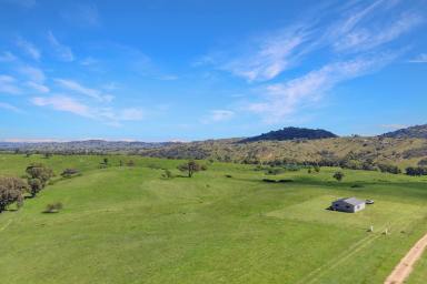 Lifestyle For Sale - NSW - Wyangala - 2808 - Private Weekend escape or build your dream home with 80acres and permanent creek frontage!  (Image 2)