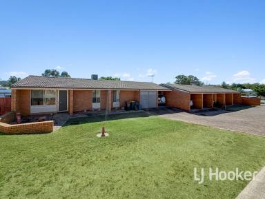 Block of Units For Sale - NSW - Inverell - 2360 - Investment Opportunity in Ashford!  (Image 2)