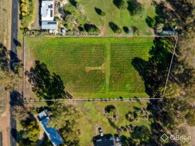 Residential Block For Sale - VIC - Peechelba - 3678 - Lifestyle Opportunity on Expansive 5,997m² Allotment  (Image 2)
