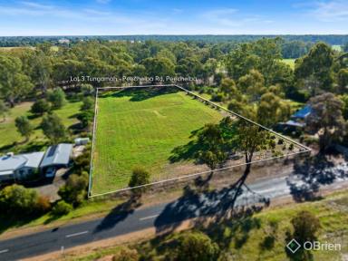 Residential Block For Sale - VIC - Peechelba - 3678 - Lifestyle Opportunity on Expansive 5,997m² Allotment  (Image 2)