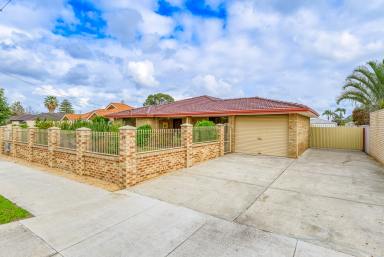 House For Sale - WA - Cannington - 6107 - 1832sqm of Quality Property just 9km to the Perth City  (Image 2)