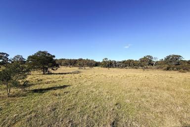 Residential Block For Sale - NSW - Marulan - 2579 - 40 Acres, Great Location only 10 minutes from Marulan CBD, Mix Cleared & Bush.  (Image 2)