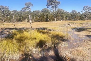 Residential Block For Sale - NSW - Marulan - 2579 - Perfect Location, 40 Acres, Ideal Weekender Property, Mix of Cleared & Bushland  (Image 2)