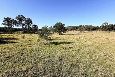 Residential Block For Sale - NSW - Marulan - 2579 - Perfect Location 40 Acres - Ideal Weekender | Mix of Cleared & Natural Bushland (Image 2)