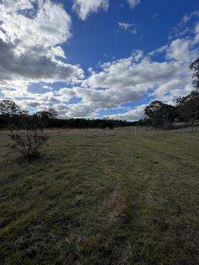 Residential Block For Sale - NSW - Marulan - 2579 - Perfect Location, 40 Acres, Ideal Weekender Property, Mix of Cleared & Bushland  (Image 2)