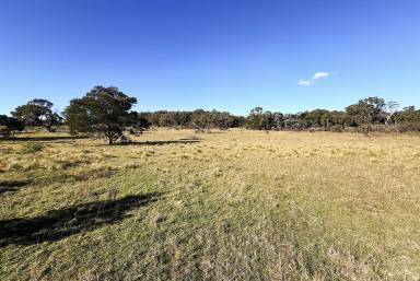 Residential Block For Sale - NSW - Marulan - 2579 - Perfect Location 40 Acres - Ideal Weekender | Mix of Cleared & Natural Bushland  (Image 2)