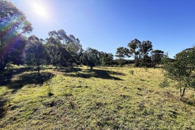 Residential Block For Sale - NSW - Marulan - 2579 - Perfect Location, 40 Acres, Ideal Weekender Property, Mix of Cleared & Bushland  (Image 2)