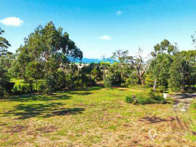 Residential Block For Sale - VIC - Fish Creek - 3959 - 1.2 ACRE SERENE BLOCK WITH PERMITS  (Image 2)