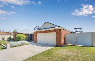 House For Lease - WA - Mindarie - 6030 - 17 Antibes Court, Mindarie - recently renovated coastal family home  (Image 2)