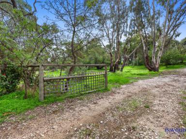 House For Sale - SA - Eden Valley - 5235 - 1870's cottage charm. Two large titles, available separately or secure one extraordinary opportunity.  (Image 2)